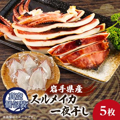 ふるさと納税 宮古市 スルメイカの一夜干し5枚セット