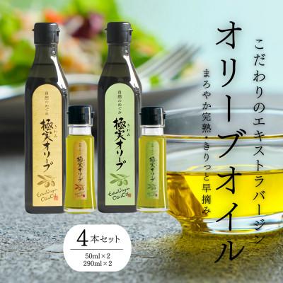 ふるさと納税 高野町 【創業180余年】シマムラ エキストラバージンオリーブオイル 堪能セット