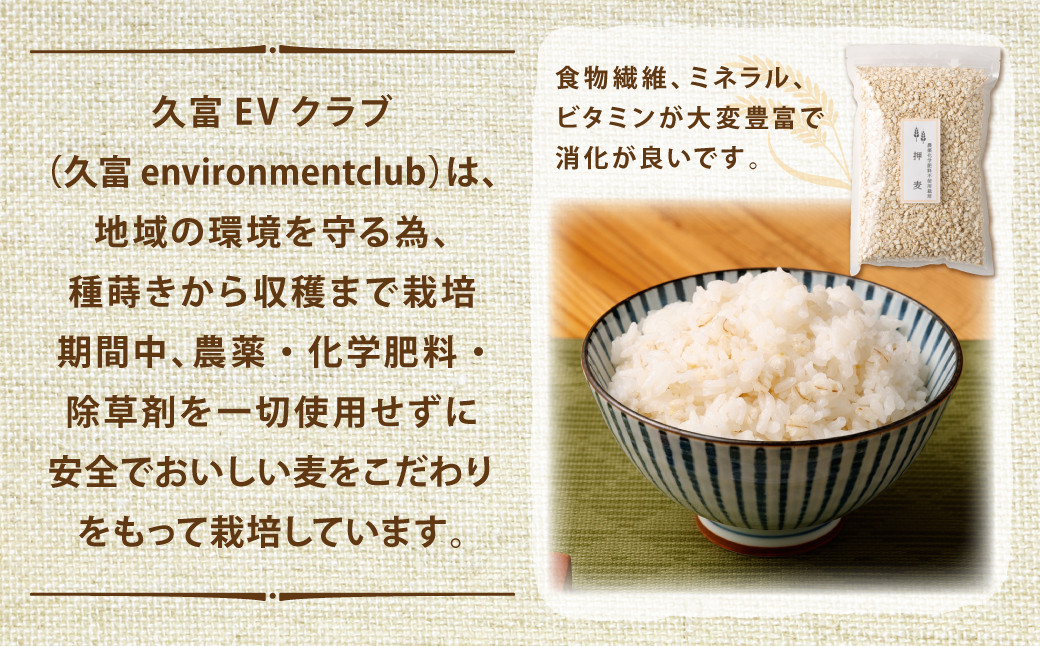 押麦 1kg×3個 セット 合計3kg