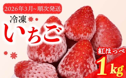 冷凍 いちご 苺 1kg 完熟  紅ほっぺ ヘタ取り いちご 静岡 限定 苺 冷凍いちご イチゴ 果物 スイーツ いちご 紅ほっぺ 冷凍イチゴ 牧之原市 デザート フルーツ スイーツ アイス ジャム シャーベット かき氷 イチゴ ベリー ストロベリー 氷菓 冷凍 甘い オススメ いちご ギフト 贈答 プレゼント 人気 送料無料 1袋 便利 いちご 紅ほっぺ べにほっぺ 牧之原市 森木農園
