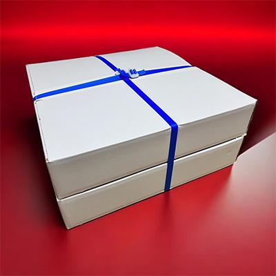 ふるさと納税 南島原市 長崎県産トラフグ刺身Wセット(10人前) |  | 03