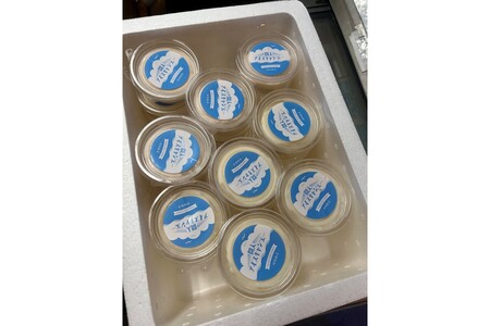 なつかしのカップアイス（ミルク）