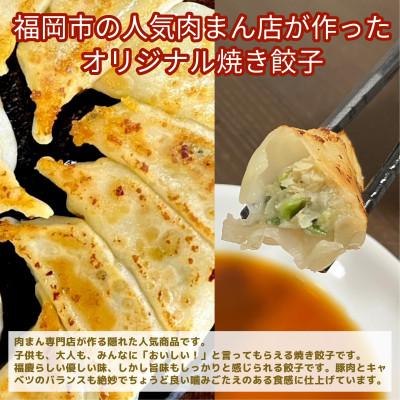 ふるさと納税 福岡市 【福岡市】蒋さんの焼き餃子(生)12個×8パック KR11 |  | 01