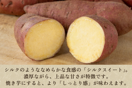 【家庭用】シルクスイート 1kg（A品・B品混在） 新潟県加茂市七谷産 さつまいも《11月下旬〜順次発送》 サツマイモ お芋 焼き芋 スイートポテト 野菜 根菜 低温熟成 加茂市 YAGOROU ヤゴ