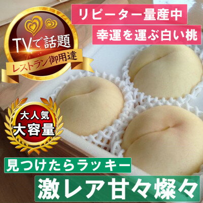 【ふるさと納税】《激レア縁起深い白い桃の甘々燦々》人気品種指定ギフト5年連続TV出演話題ブランド2026年8月下旬～【配送不可地域：離島・北海道・沖縄県・中国・四国・九州】【1465337】