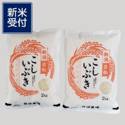 ふるさと納税 村上市 【新米受付・令和7年産米】 こしいぶき 白米4kg(2kg×2袋)新潟県村上市岩船産1067100N