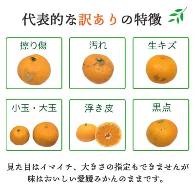 【2025年11月より順次発送】酸味と甘みのバランス◎愛媛みかん3kg【訳あり】【A25−164】【1509982】