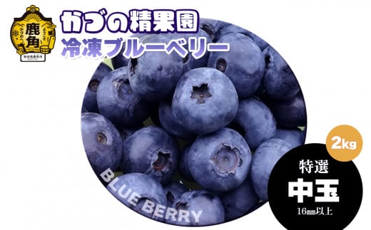 《先行予約》ブルーベリー（冷凍）特選 中玉 2kg 単品【かづの精果園】●2025年12月上旬発送 冷凍 栄養 効果 アントシアニン サプリ 藍苺 ベリー レシピ ジャム スムージー アサイー アイス ヨーグルト 自然 秋田県 秋田 あきた 鹿角市 鹿角 かづの