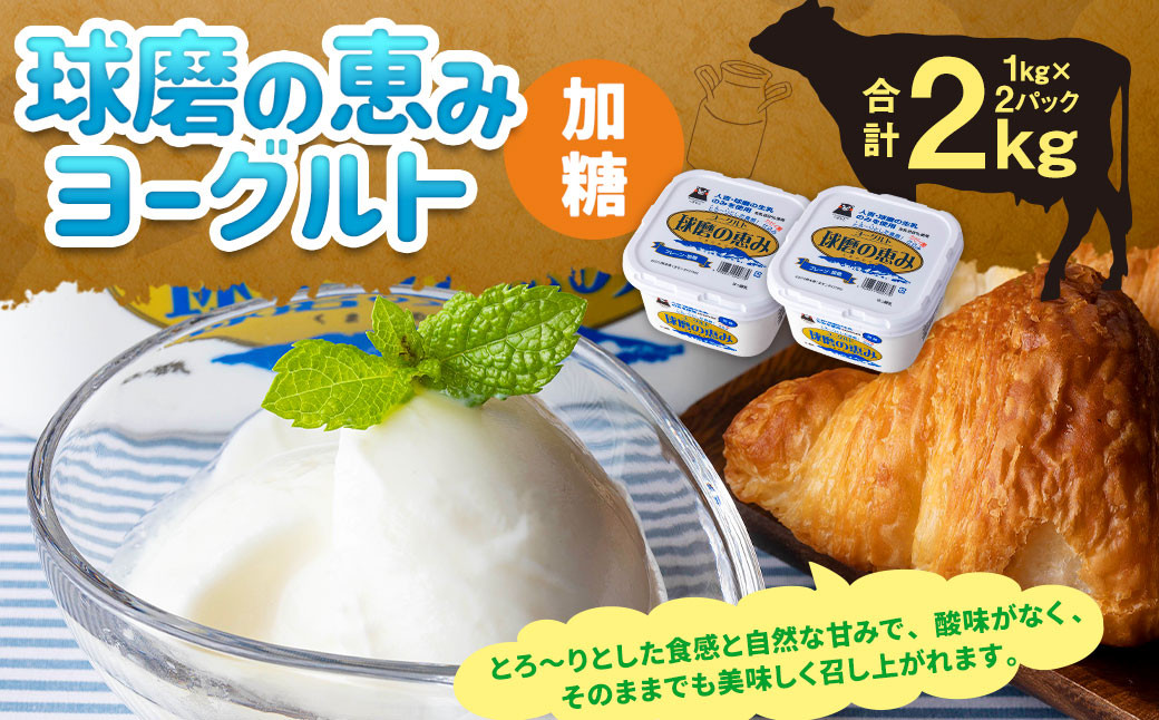 
球磨の恵み ヨーグルト(加糖) 2kg(1kg×2パック) ヨーグルト 加糖
