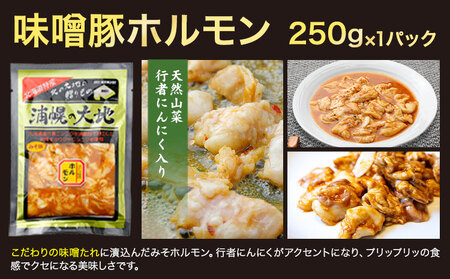 ジンギスカン（ラム350g）・ホルモン（味噌250g＋塩250g）セット　「浦幌の大地」《30日以内に出荷予定(土日祝除く)》北海道 浦幌町 ユーエム ニンニク 行者にんにく 豚 ラム ジンギスカン 