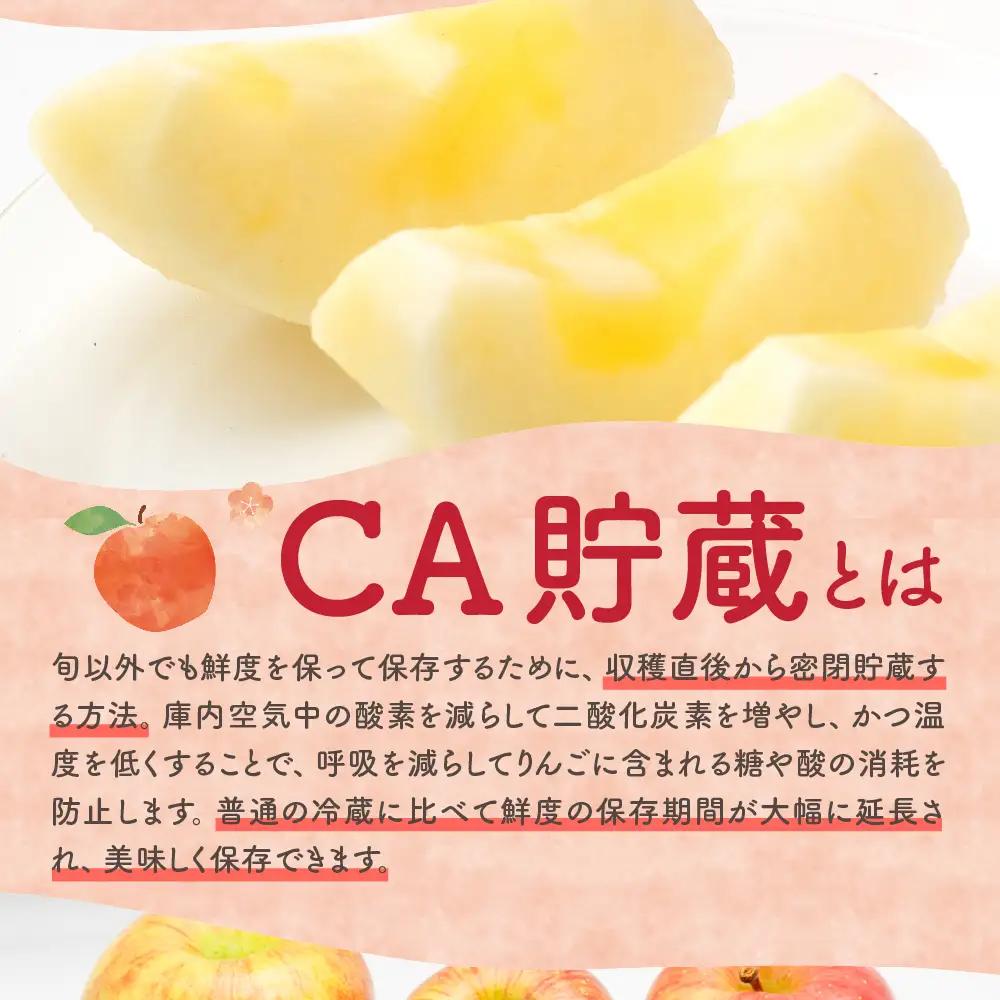 【2026年6月下旬発送】【訳あり】りんご 3kg 有袋ふじ 【スマートフレッシュTM貯蔵またはCA貯蔵・クール便】
