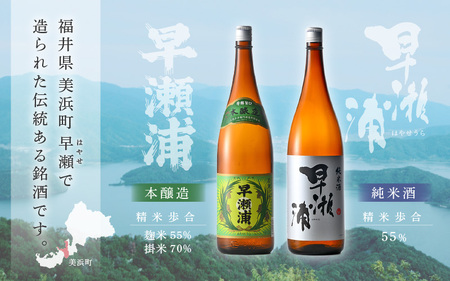 入手困難【早瀬浦】本醸造 1800ml × 3本 ＆ 純米酒 1800ml × 3本 セット【飲み比べ 日本酒 地酒 福井 美浜 早瀬 フルーティ 男酒 硬水 ミネラル 希少 ご褒美 家飲み】[m16