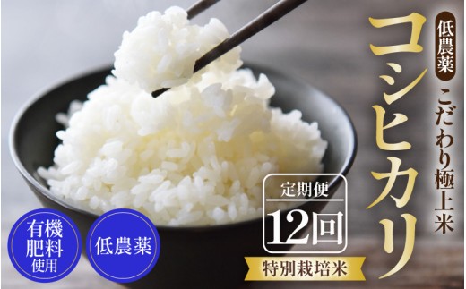 【先行予約】【令和8年産 新米】《定期便》5kg×12回 60kg 特別栽培米 コシヒカリ 低農薬 《食味値85点以上！こだわり極上米》 / 福井県 あわら 北陸 米 お米 人気 高品質 鮮度抜群 新米 ※2026年9月下旬より順次発送 [aw032-o006]