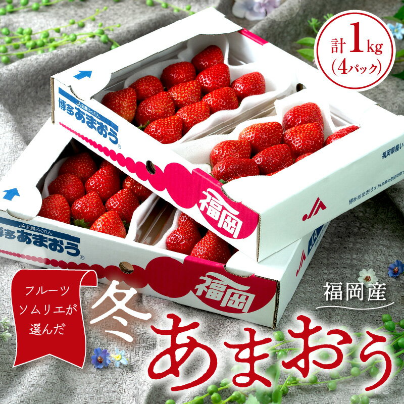 【ふるさと納税】フルーツソムリエが選んだ福岡産【冬】あまおう4パック【011-0072】