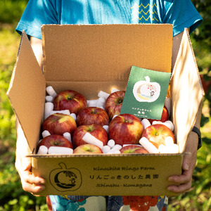 りんご 長野 スマートフレッシュ サンつがる 3kg 少人数家庭にぴったり 葉とらず 産地直送 フルーツ 果物 デザート おやつ リンゴ 林檎 さんつがる 秋 旬 スムージー ジャム 信州 長野県 長