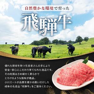 飛騨牛Ａ5 赤身肉 焼肉用 600g （300g×2パック） モモ 又は カタ 肉 ｜国産 肉 牛肉 焼肉 和牛 黒毛和牛 赤身 グルメ A5等級 おすすめ AD124 【飛騨牛 和牛ブランド 飛騨牛