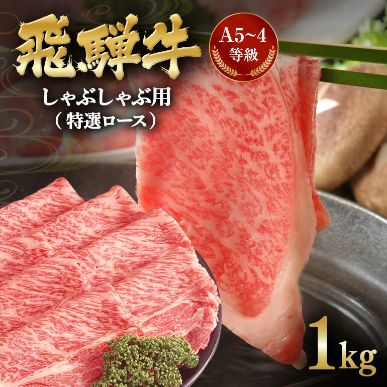 【ふるさと納税】 飛騨牛A5~4等級 しゃぶしゃぶ用(特選ロース)1.0kg D-5/A-15