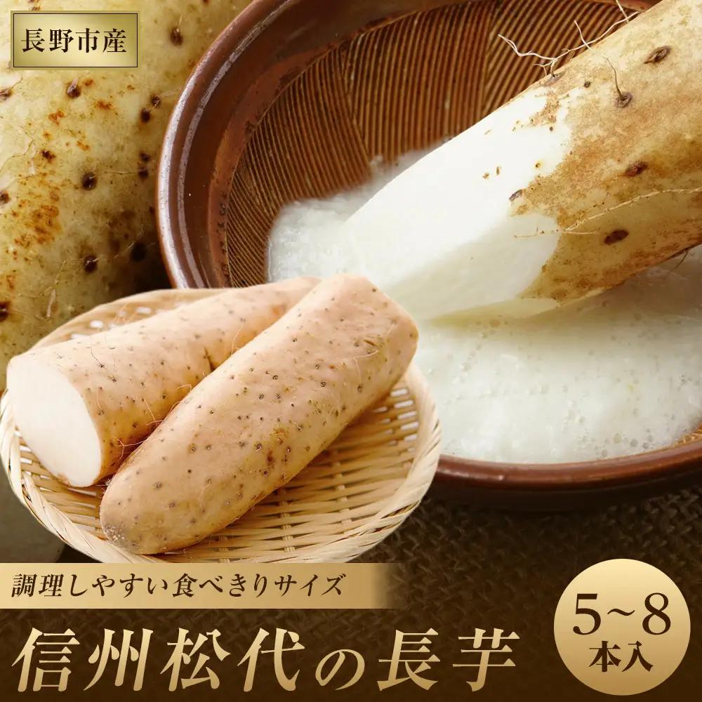 信州の長芋【調理しやすい食べきりサイズ】5～8本入り | 長芋