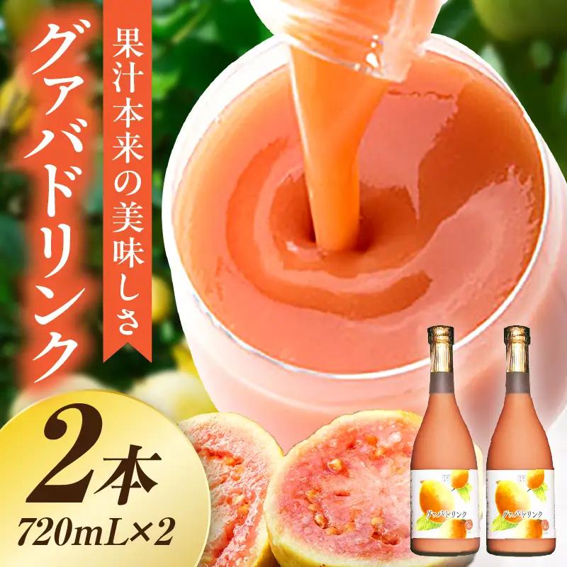 驚きの果実感！ グァバドリンク２本セット (720ml×2本)_K021-012