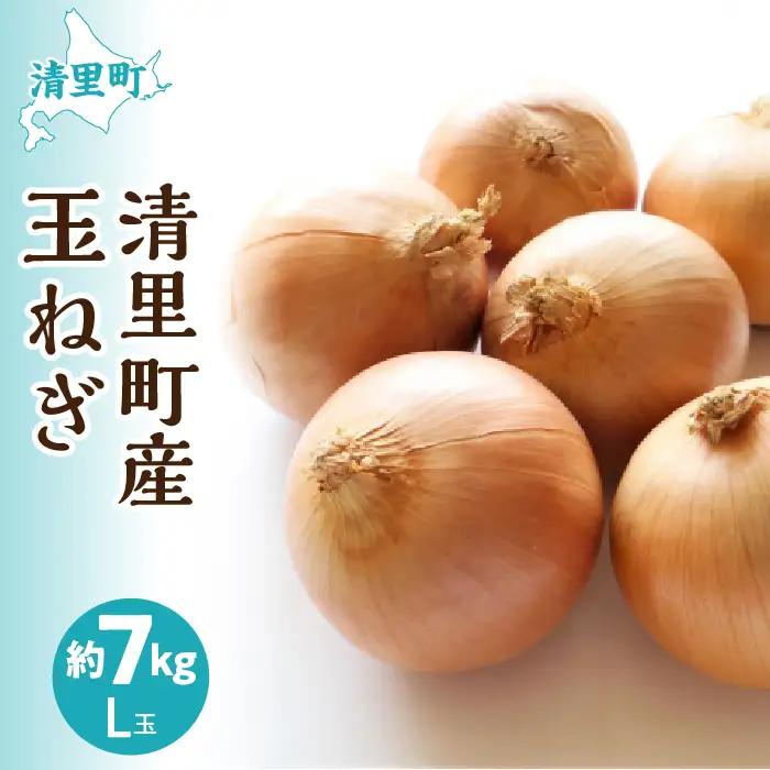 【先行予約】清里産玉ねぎセット＜L玉 7kg＞（2026年10月中旬より順次発送） KYSB011
