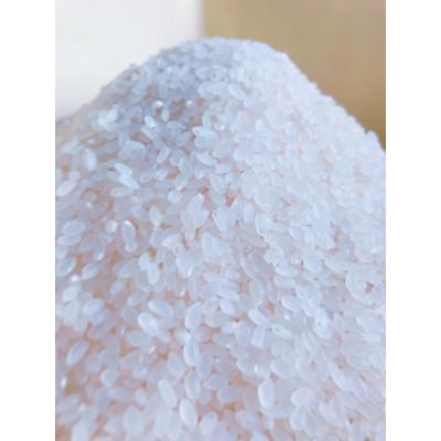 ふるさと納税 新庄市 黒澤のササニシキ 10kg(精米) |  | 01