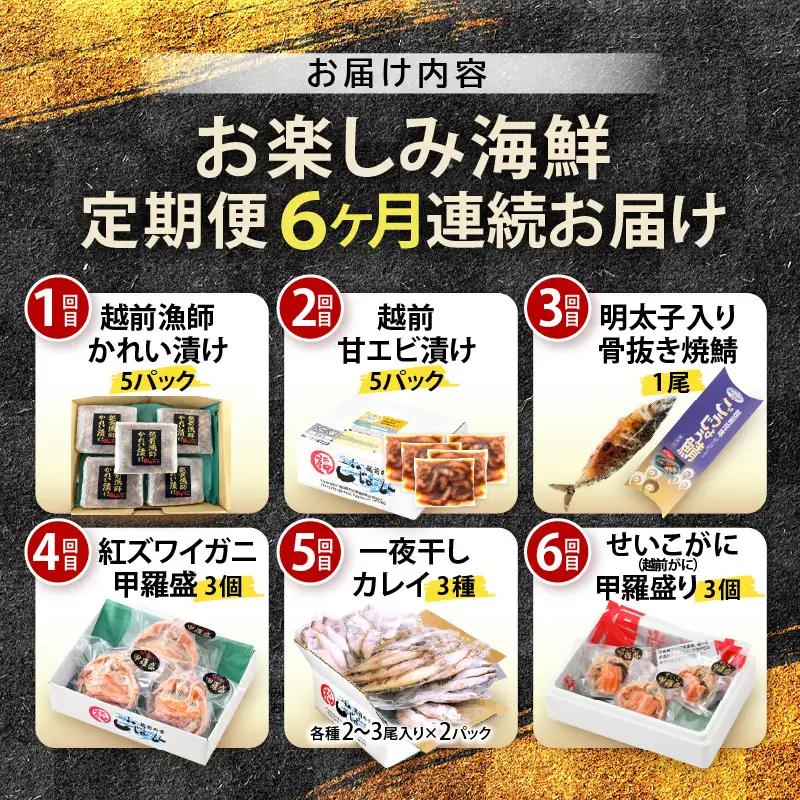定期便 ≪6ヶ月連続お届け≫ お楽しみ 海鮮 セット [e15-g002]