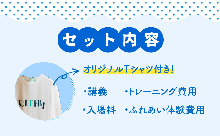 1日イルカトレーナー体験 《壱岐市》【壱岐イルカパーク＆リゾート】[JBF002]   5万 50000 50000円 5万円