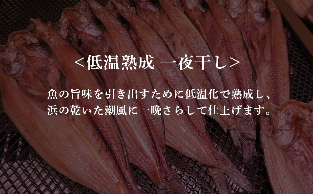 2ヶ月に1度 定期便 全6回 低温熟成 一夜干し お楽しみ 詰め合わせ AA029_イメージ2