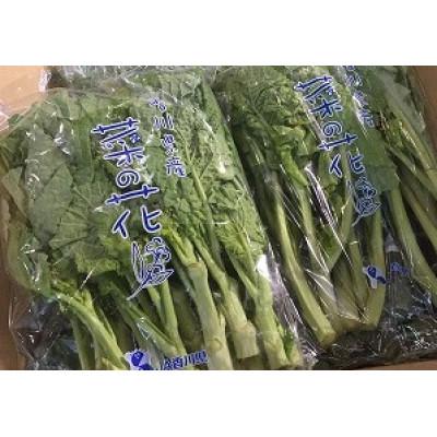 ふるさと納税 まんのう町 菜の花(袋入り) 約2kg |  | 03