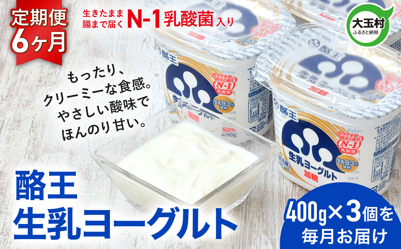 
            ヨーグルト 定期便 400g×3個 6ヶ月 《 酪王 生乳 ヨーグルト 加糖 》 ｜ 濃厚 クリーミー 朝食 こども 健康 美容 乳酸菌 プロバイオティクス 腸活 酪王乳業 酪王カフェオレ ご当地 福島県 大玉村 | pl-yo-400g-3s-t6
          