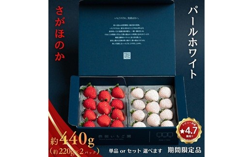 
                  先行受付開始！佐賀県産 いちご さがほのか パールホワイト 紅白セット【選べる単品orセット】
                