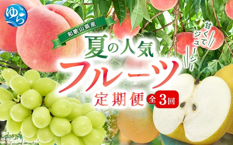 
            定期便全3回  和歌山の夏の人気フルーツをお届け（桃・梨・シャインマスカット）【7月・8月・9月発送】※北海道・沖縄・離島は配送不可 【tkb429】
          