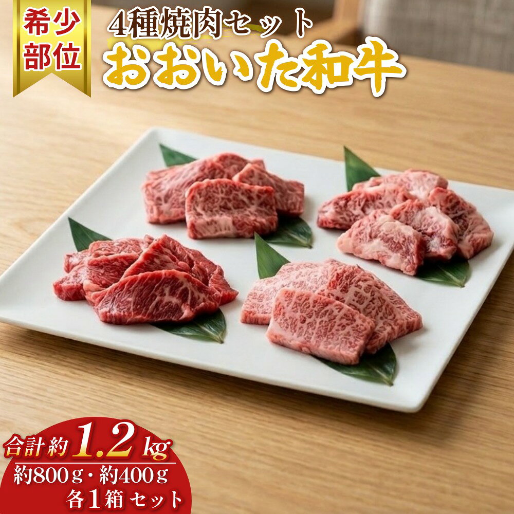 【ふるさと納税】おおいた和牛 希少部位4種焼肉セット 約1.2kg（約800g・約400g 各1箱セット）