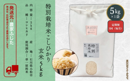 【定期便】コシヒカリ 5kg × 3回 令和7年産 特別栽培米 こしひかり 玄米（毎月） コメ お米 3ヵ月 3ヶ月 3か月 石川県 小松市【農家ふじた】