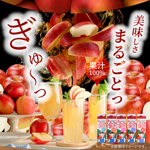 りんごの産地 北海道産 りんごジュース アップルジュース りんごのほっぺ バラエティセット 5種 1L×各1本 計5本 果汁100％ つがる あかね 王林 レッドゴールド 昂林 お取り寄せ 贈り物 ギ