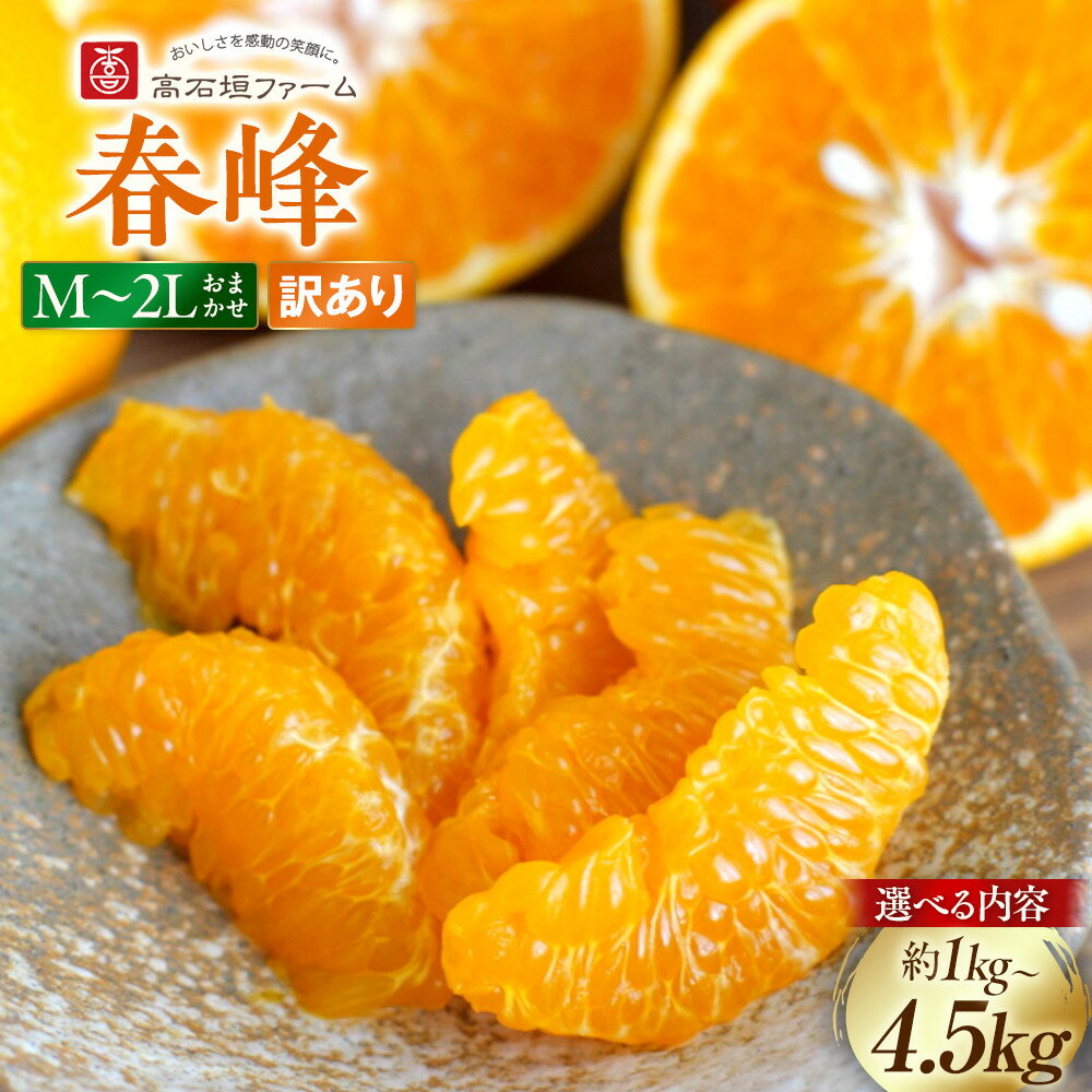 【ふるさと納税】【選べる容量】訳あり 春峰 1～4.5kg M～2Lサイズおまかせ 高石垣ファーム | みかん 蜜柑 フルーツ 果物 くだもの 食品 人気 おすすめ 送料無料