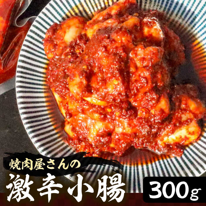 【ふるさと納税】焼肉屋さんの超人気鉄板メニュー 激辛小腸 300g【平壌屋】《豊前市》肉 焼肉 お肉 BBQ バーベキュー[VAH041] 16000 16000円