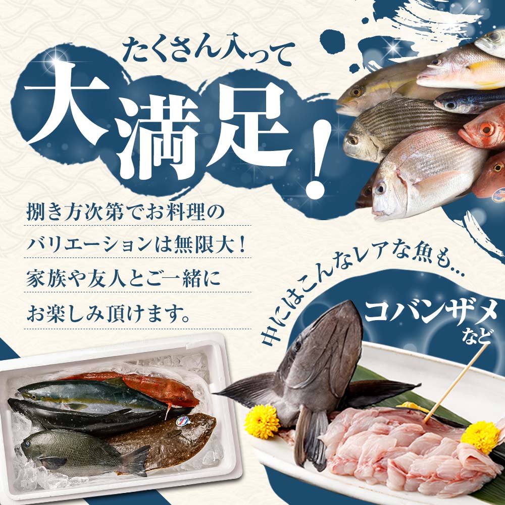 旬の朝獲れ鮮魚詰め合わせ（プレミアム）【2025年12月配送】【以布利定置網　漁師直送】朝獲れ 旬 鮮魚 魚介 海鮮 魚 さかな せんぎょ 鮮魚セット 詰め合わせ おまかせ お任せ【S00819-12