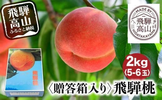 【先行受付】2026年8月発送 桃 飛騨もも 2kg 5～6玉入り | もも モモ 飛騨高山 糖度 甘い 2キロ 果物 白鳳 昭和白桃 など 夏 くだもの  桃 朝採れ 白桃 フルーツ ギフト 果物 人気 おまかせ 飛騨桃  産地直送 お取り寄せ 上広瀬果樹組合 GJ001