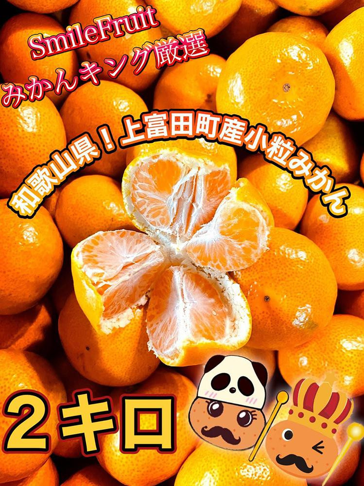 
            【先行予約】小粒みかん2Kg　高糖度！みかんの里！【SmileFruitみかんキング厳選】2025年10月下旬以降順次発送
          