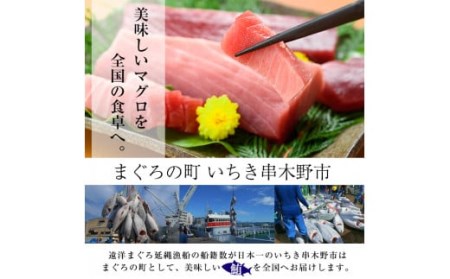 極上南まぐろ約400g（南マグロ皮付中トロ200g×2柵）最高級の天然南まぐろをご自宅で【海鮮まぐろ家】【B-272H】