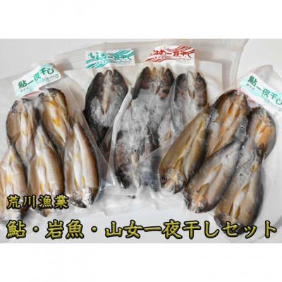 ふるさと納税 さくら市 荒川漁業 鮎・岩魚・山女一夜干しセット【保冷バッグ付き】