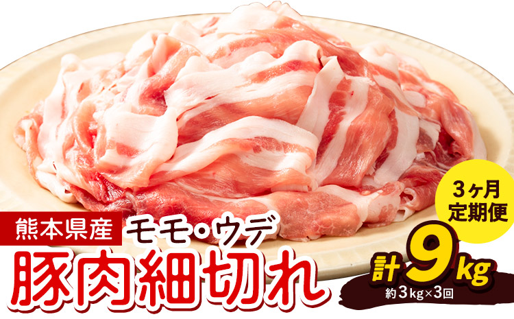 【3ヶ月定期便】熊本県産 豚肉 モモスライス ウデ こま切れ セット 合計 約9kg 約3kg×3回 植田商事有限会社 《お申込み翌月から出荷》 熊本県 菊池市 モモ ウデ 詰め合わせ 豚 お肉 肉 