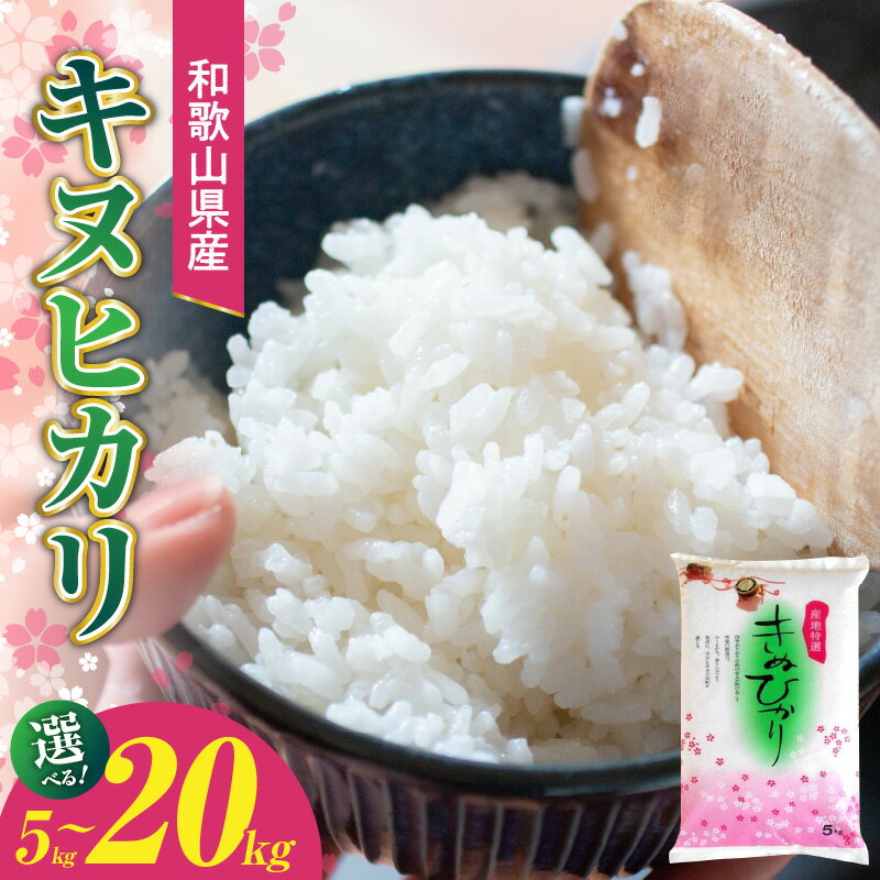 【ふるさと納税】 和歌山県産キヌヒカリ 選べる 内容量 5kg 10kg 20kg 【きぬひかり 送料無料 白米 上白米 国産米 キヌヒカリ お米ギフト 米 精米】