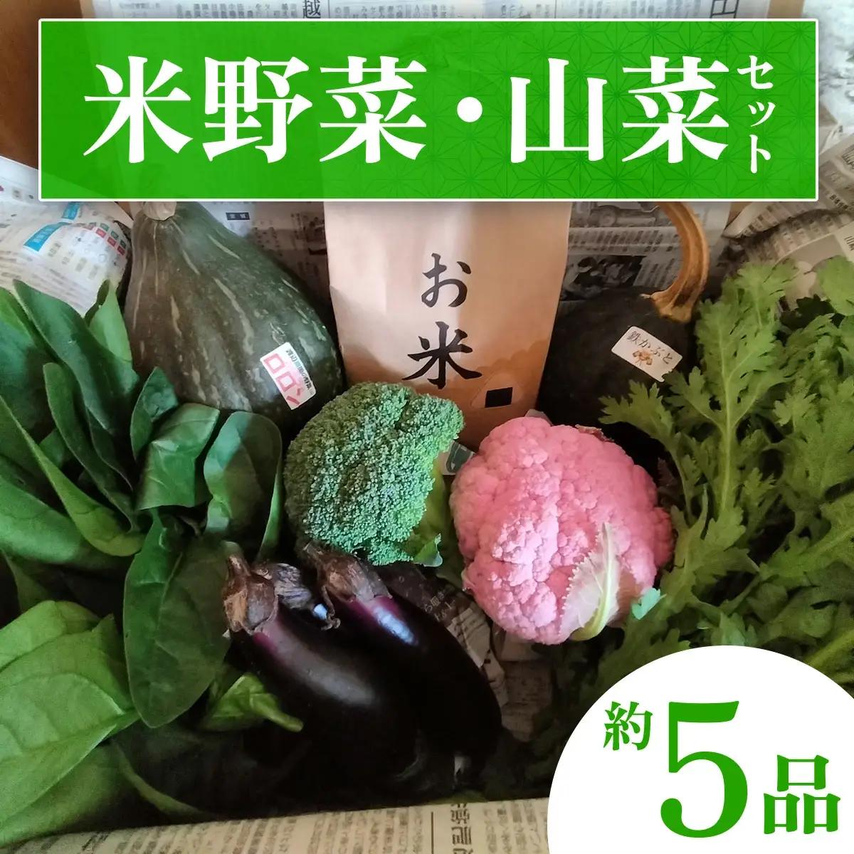 米野菜・山菜セット（5品目ほど）【115P3203】