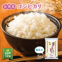 【ふるさと納税】【定期便】無洗米佐渡産コシヒカリ（5kg×12回） 令和6年米