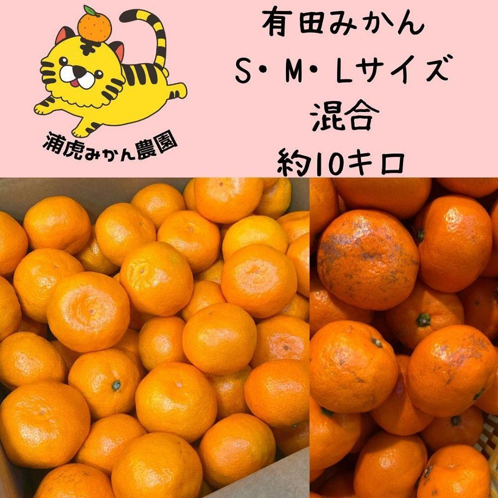 
訳あり温州みかん 家庭用 10kg (SMLサイズ混合)
