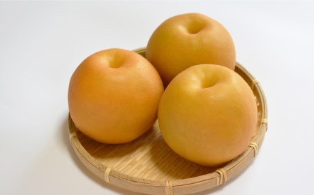 【2024年8月〜発送】【南島原産】豊水 梨 (12個から14個) / 南島原市 / ながいけ[SCH038] / 梨 ギフト ナシ ぎふと なし 食べくらべ フルーツ ギフト 果物 ギフト フルーツ