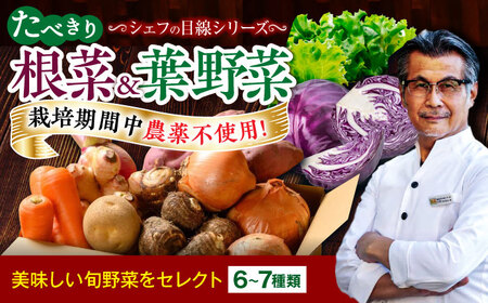 【シェフの目線】　根菜×葉野菜 （6-7種）　少量食べきりセット　 野菜 果物 やさい 少量セット 食べきり[AGBX051]
