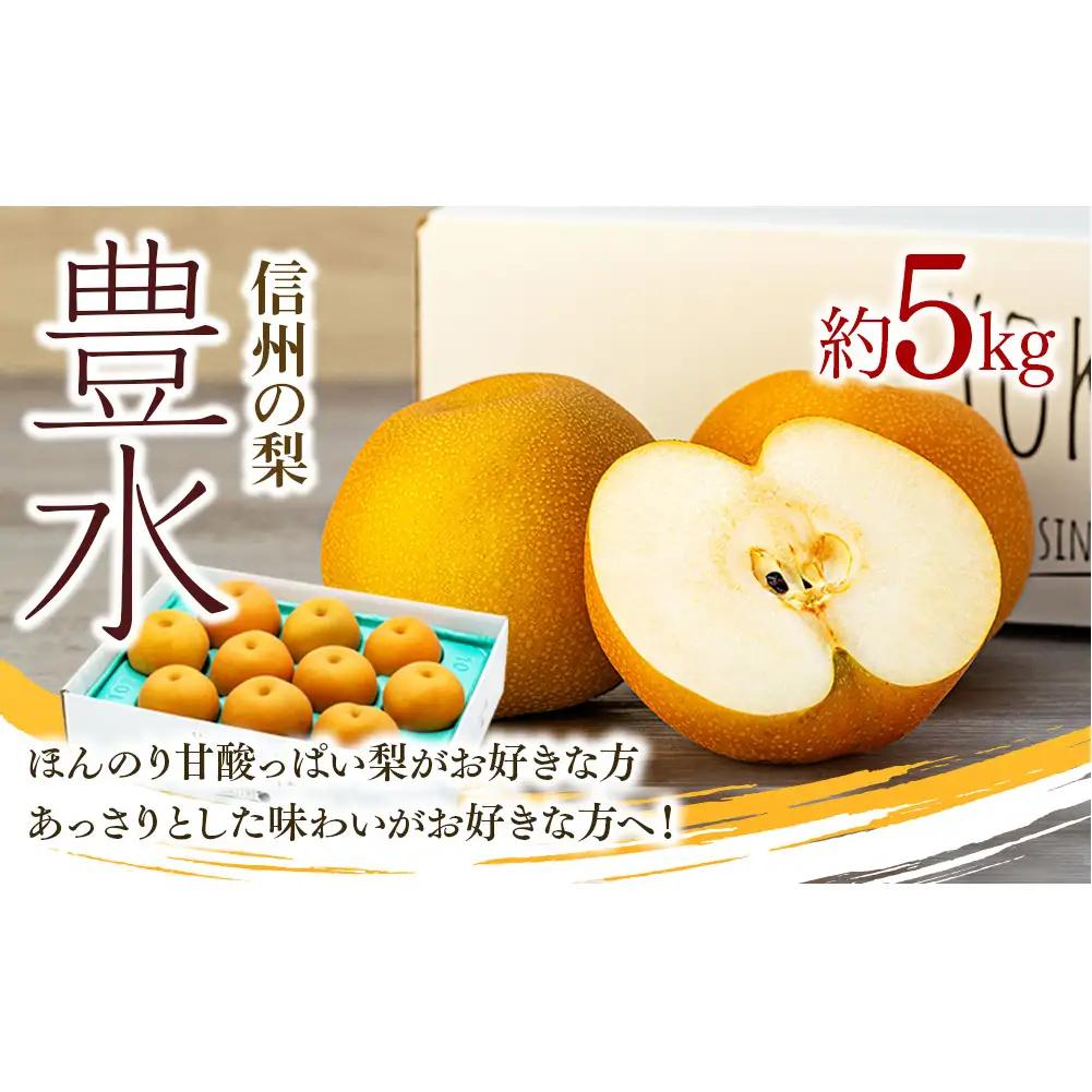 豊水 約5kg 2026年 産地直送 信州産 梨 豊水